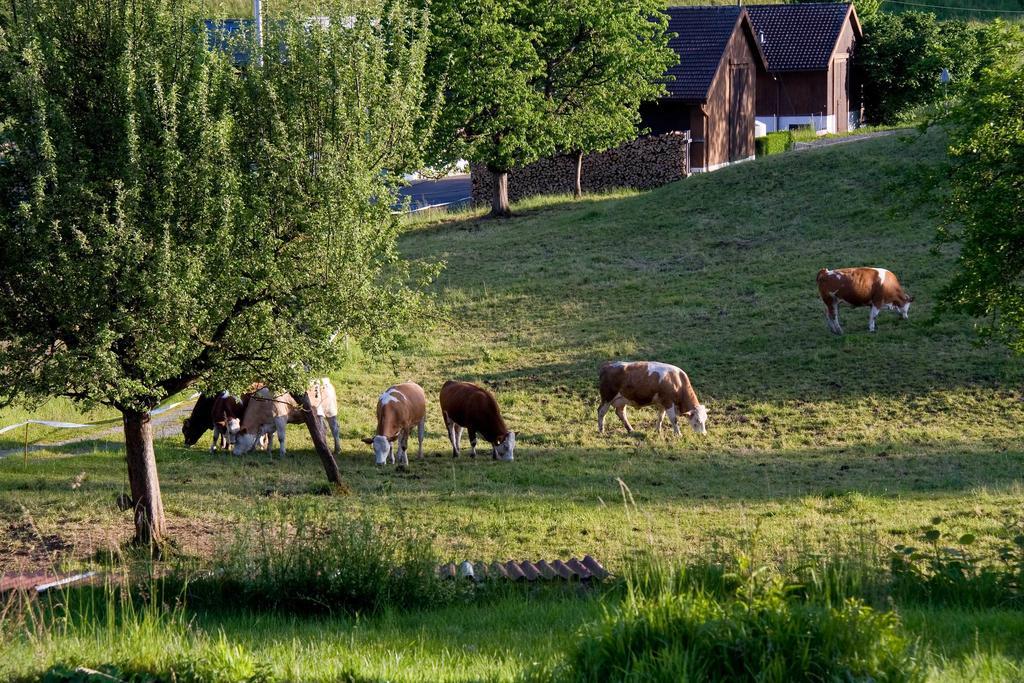 Seehotel Boutique Jaegerhof-Hubertus Faulensee Eksteriør billede
