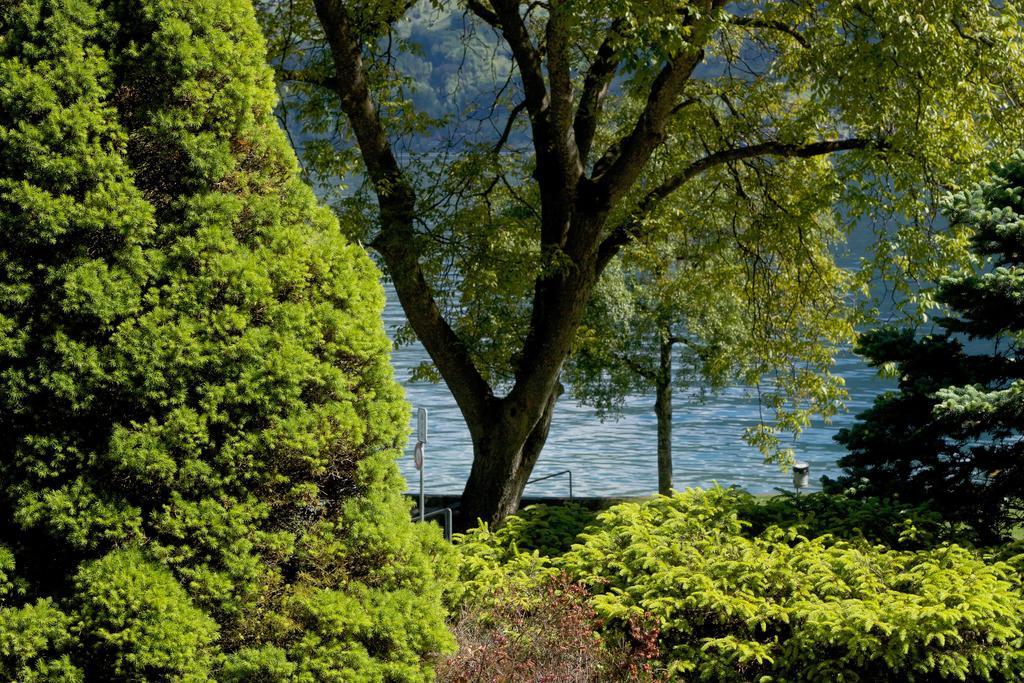 Seehotel Boutique Jaegerhof-Hubertus Faulensee Eksteriør billede